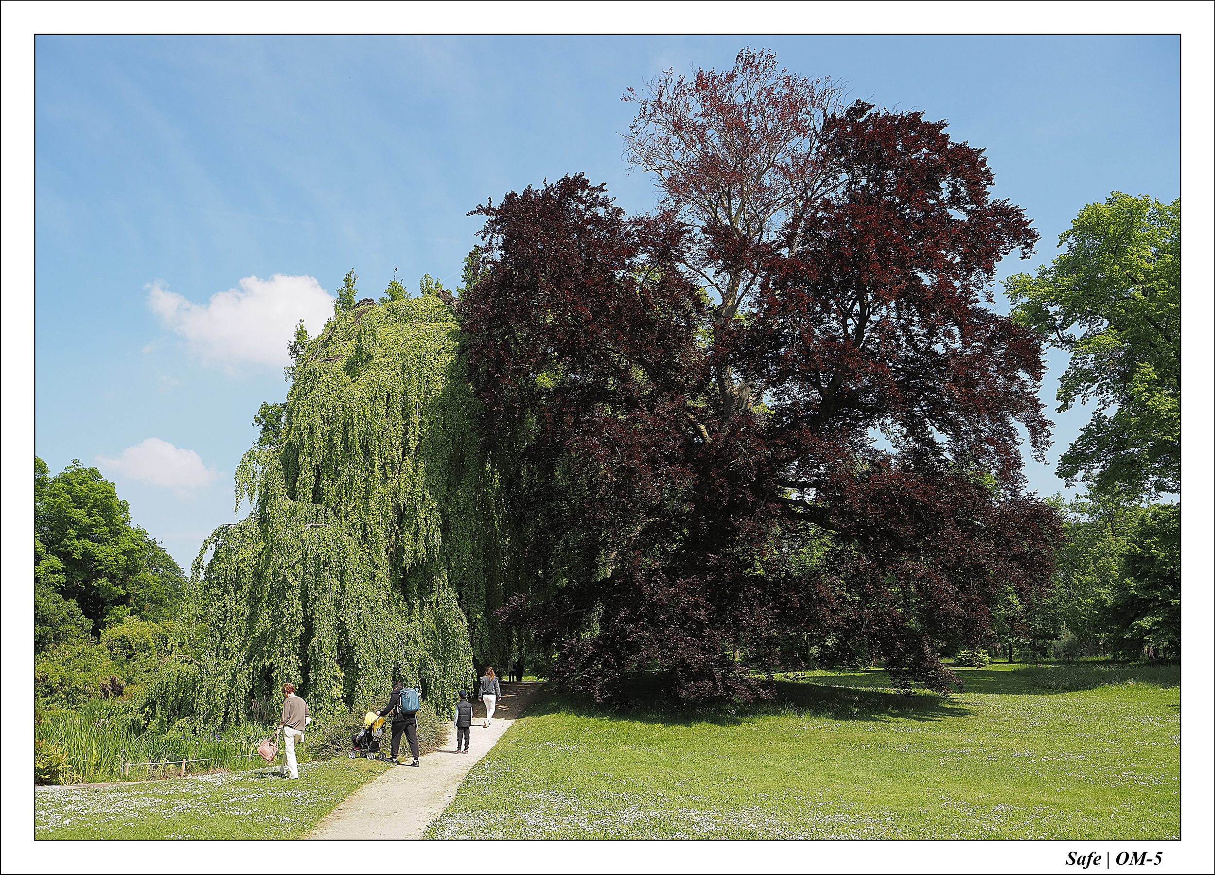 2024 - 05 - Bagatelle - 31